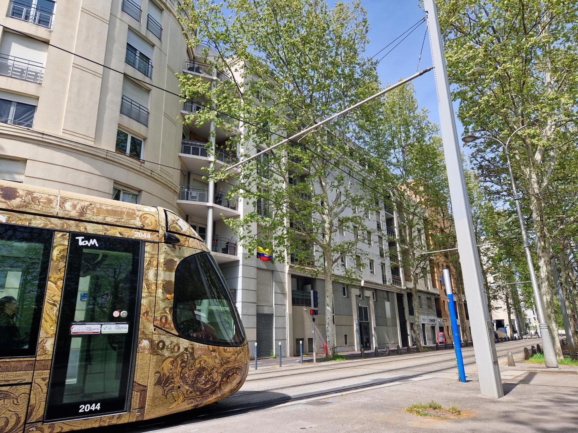 Appartement Avec Vue Sur Le Lez Montpellier Bagian luar foto