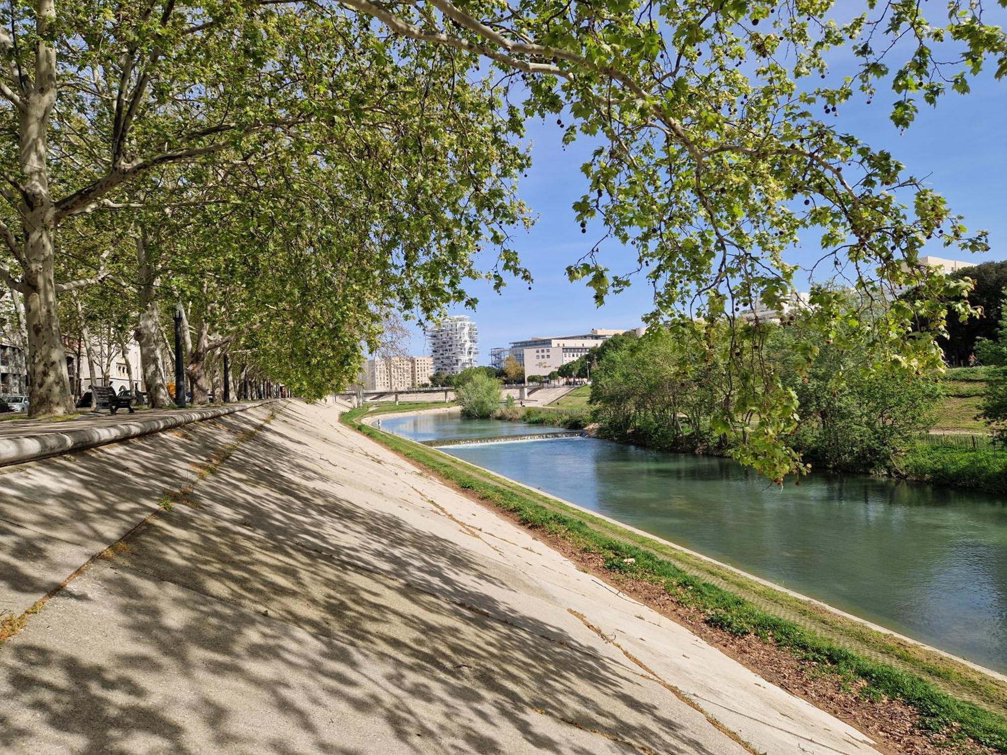 Appartement Avec Vue Sur Le Lez Montpellier Bagian luar foto